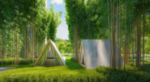 sora-bamboo-forest-camping